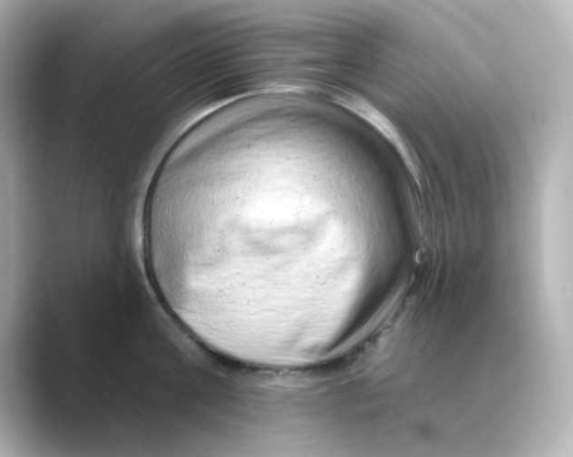 X0000088670811200706211850