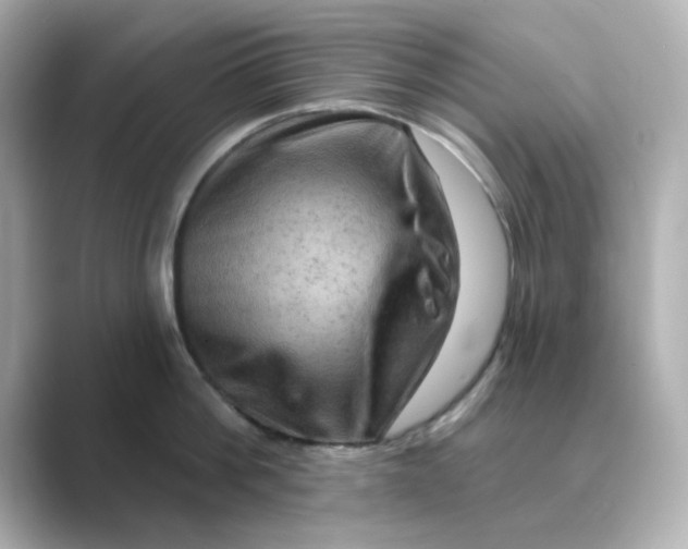 X0000088670812200706211850