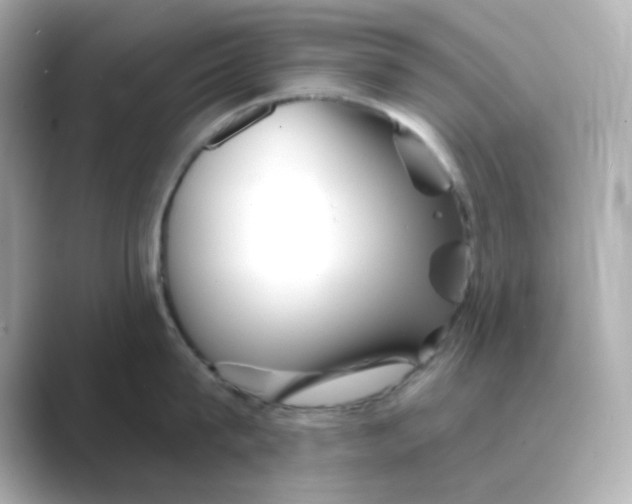 X0000088670815200706211850