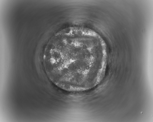 X0000088670817200706211849