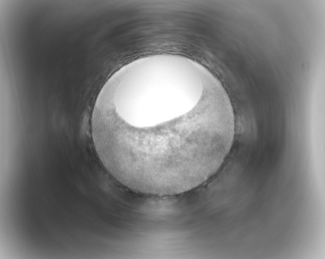 X0000088670820200706211849