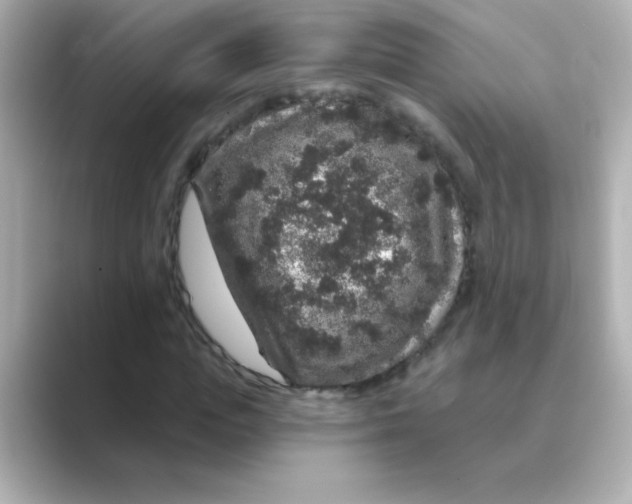 X0000088670823200706211849