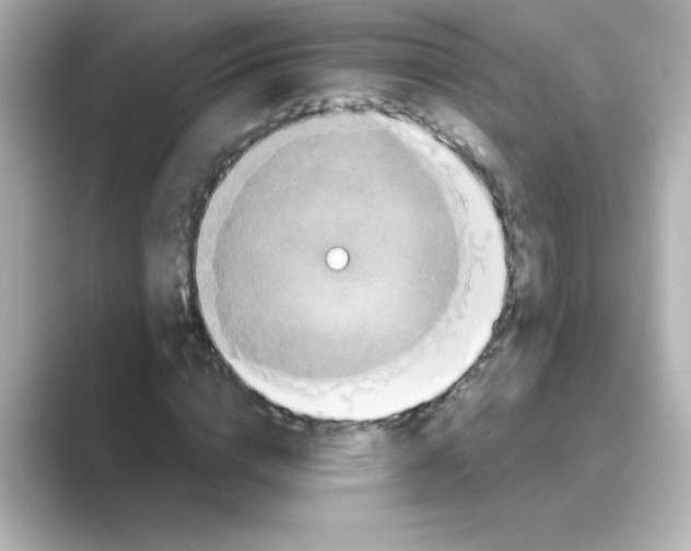 X0000088670824200706211849