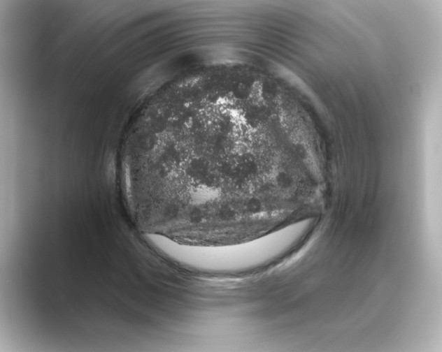 X0000088670825200706211849
