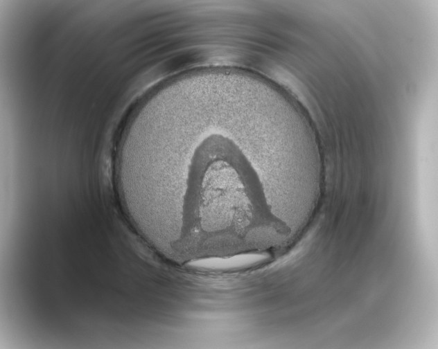 X0000088670827200706211849