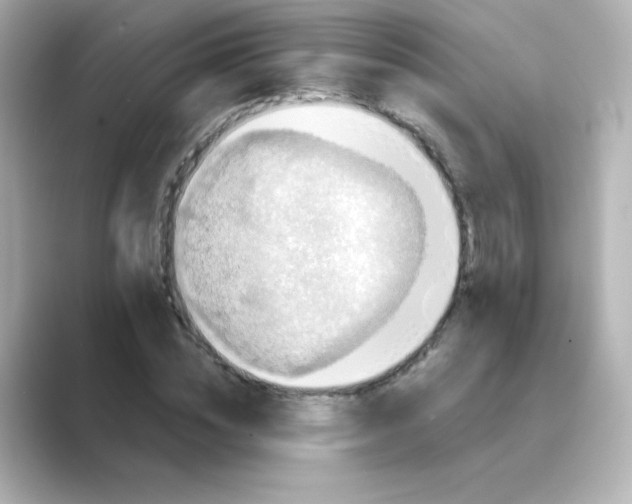 X0000088670828200706211849