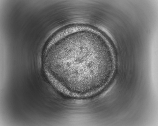 X0000088670829200706211849