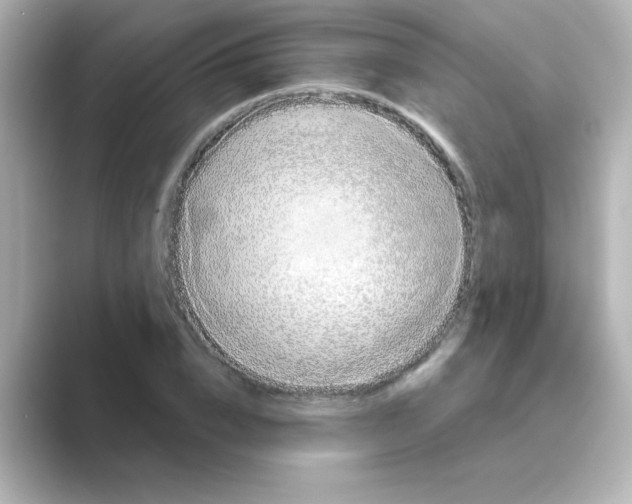 X0000088670832200706211849