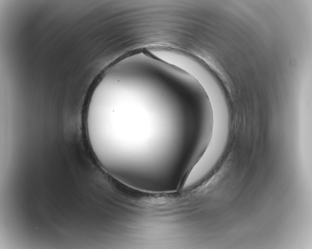 X0000088670834200706211849