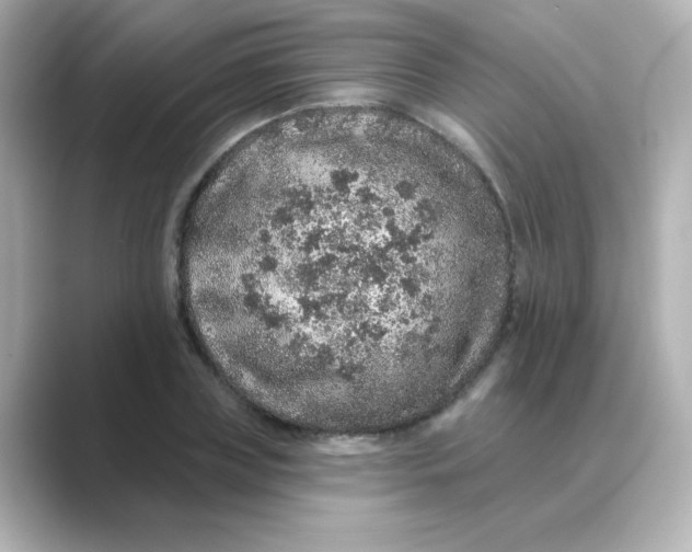 X0000088670835200706211849