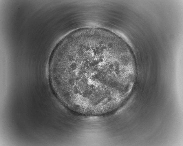 X0000088670839200706211849