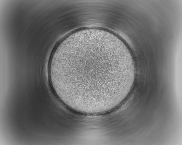 X0000088670840200706211849