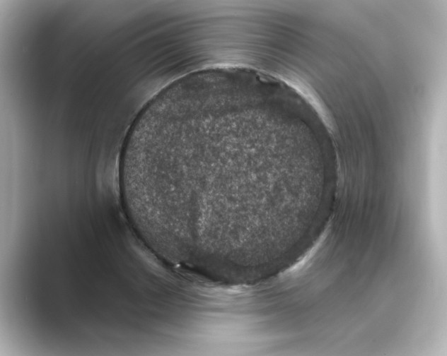 X0000088670842200706211849