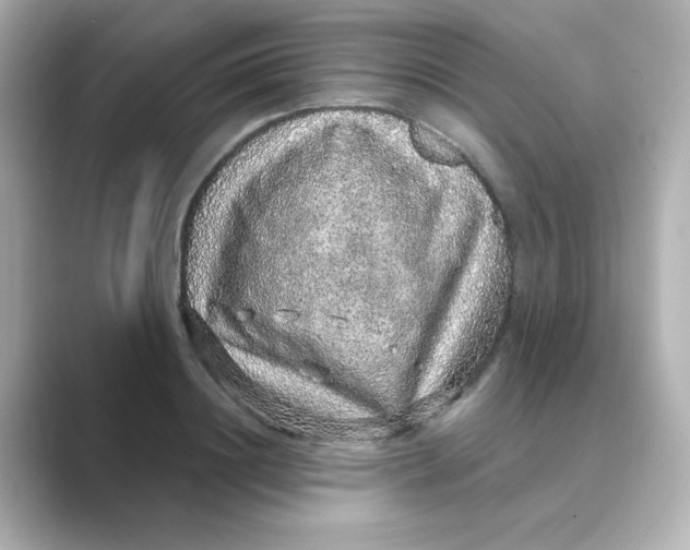 X0000088670844200706211849