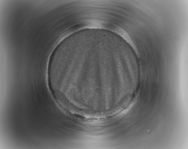 X0000088670845200706211849