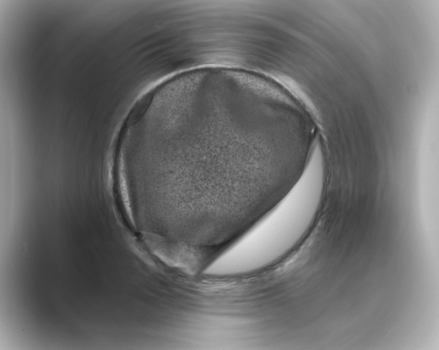 X0000088670846200706211849