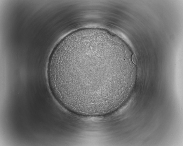 X0000088670847200706211849