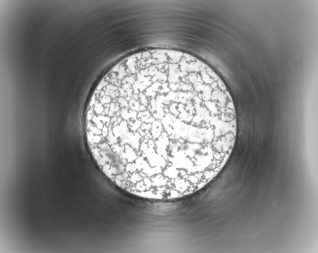X0000088670848200706211849