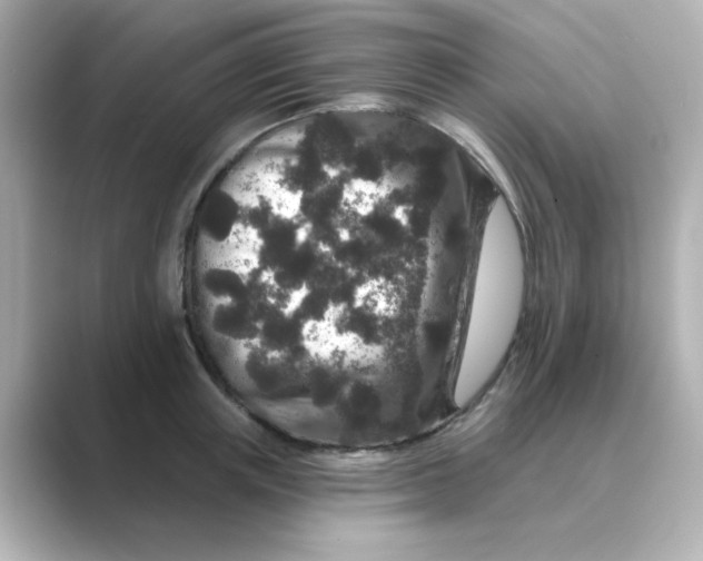 X0000088670851200706211849