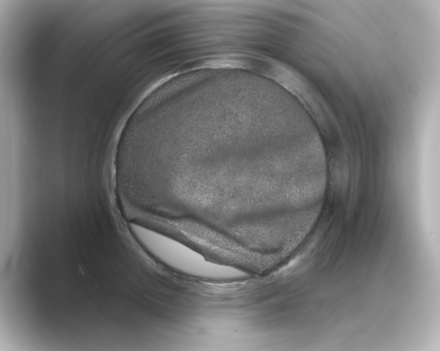 X0000088670852200706211849