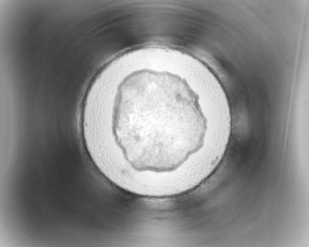X0000088670856200706211849