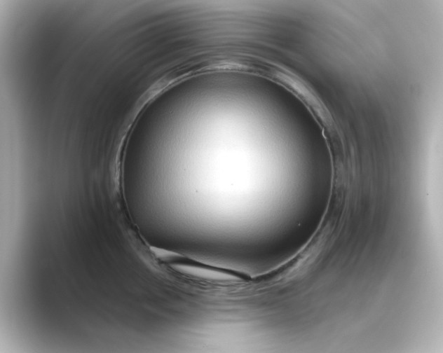 X0000088670858200706211849