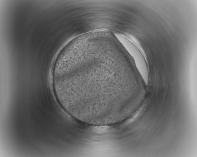 X0000088670859200706211849