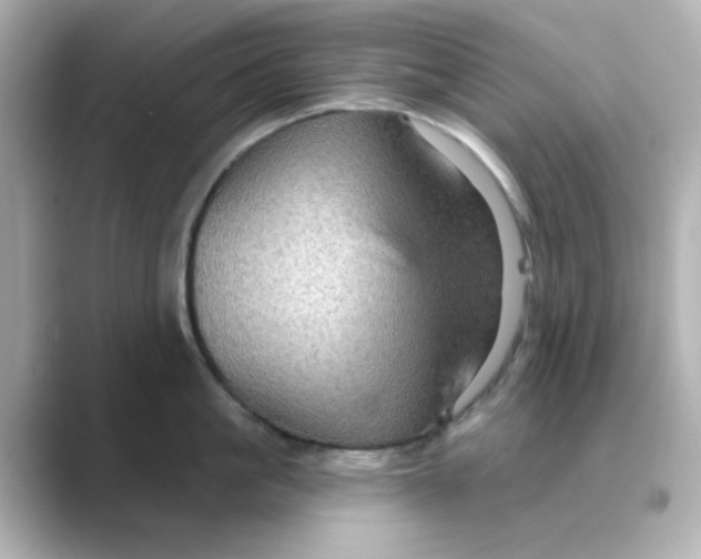 X0000088670861200706211850