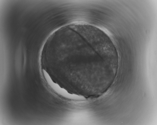 X0000088670864200706211850