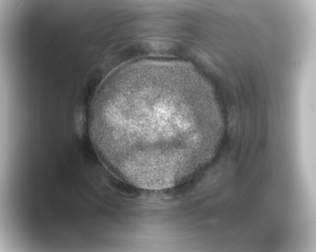 X0000088670866200706211849