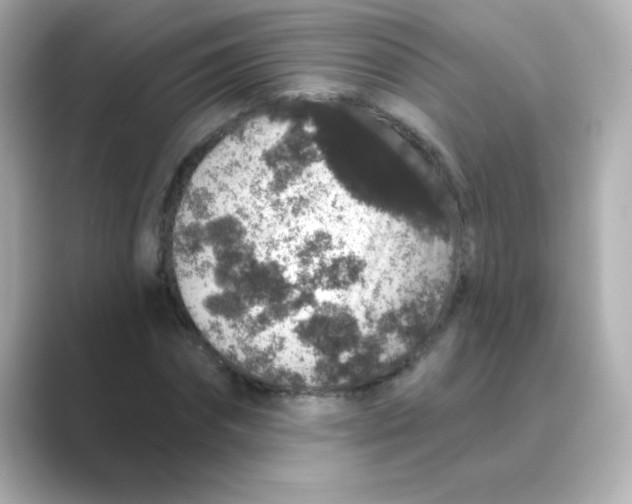 X0000088670874200706211849