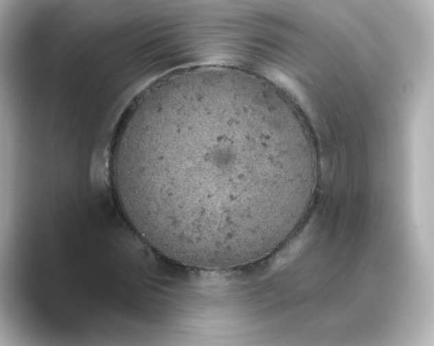 X0000088670875200706211849
