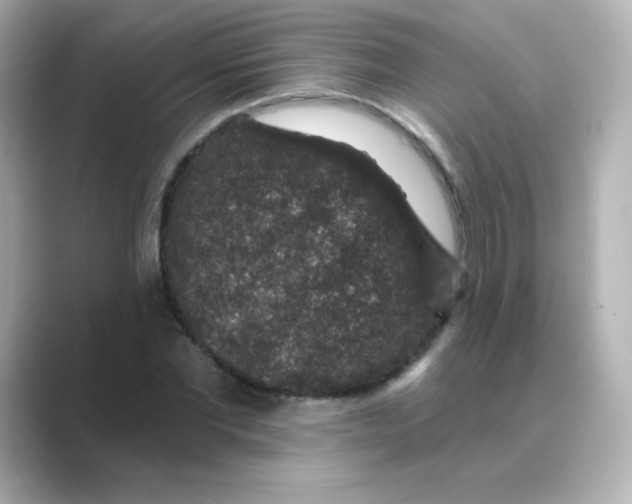 X0000088670877200706211849
