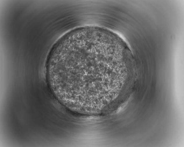 X0000088670879200706211849