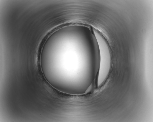 X0000088670880200706211849