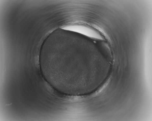 X0000088670881200706211849