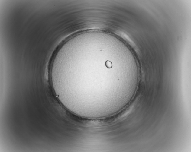 X0000088670883200706211849