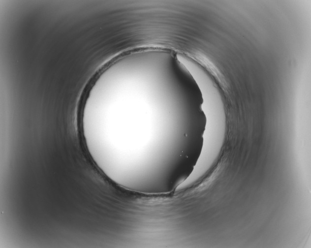 X0000088670884200706211849