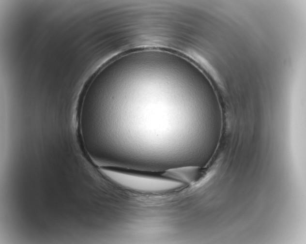 X0000088670885200706211849