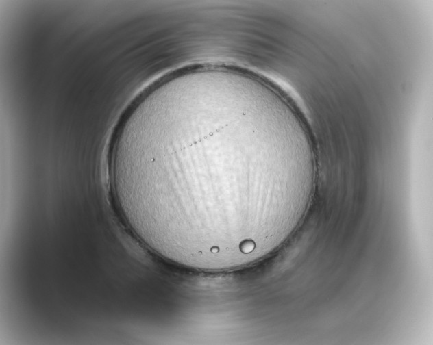 X0000088670887200706211849
