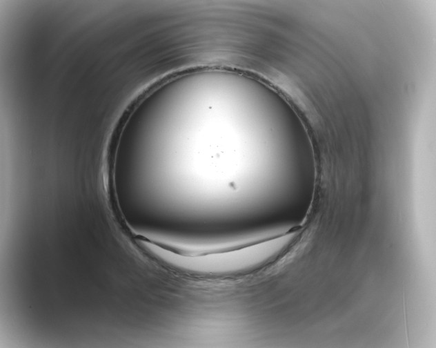 X0000088670888200706211849