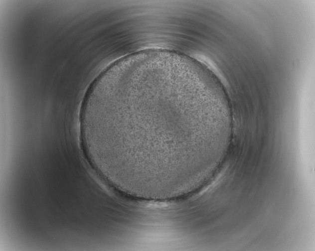 X0000088670890200706211849