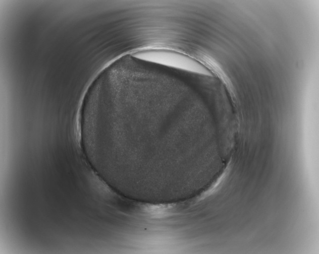 X0000088670892200706211849