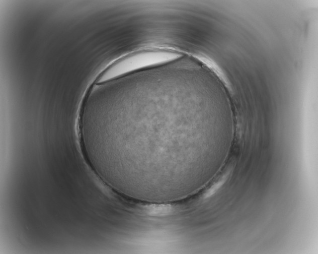 X0000088670893200706211849
