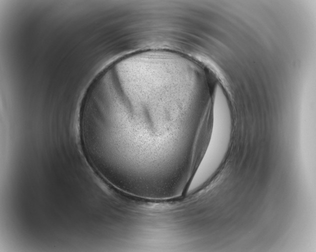 X0000088670894200706211849