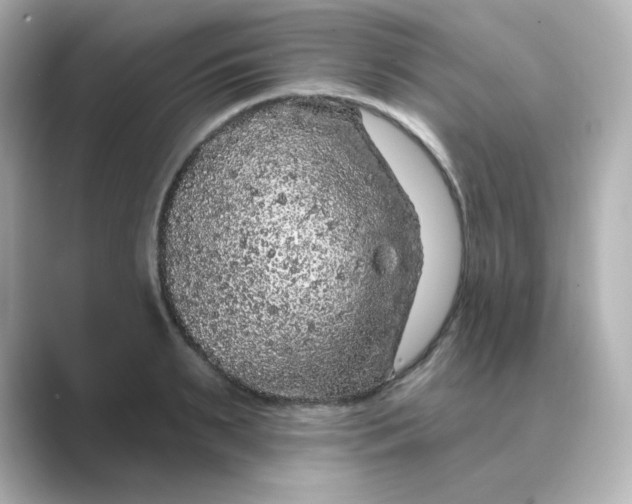 X0000088670895200706211849