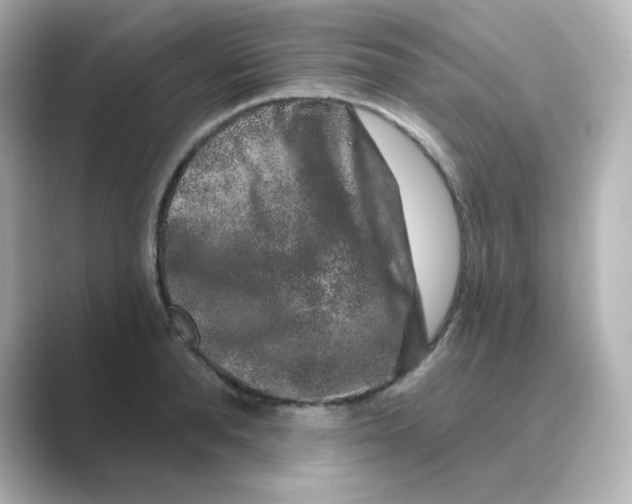 X0000088670896200706211849