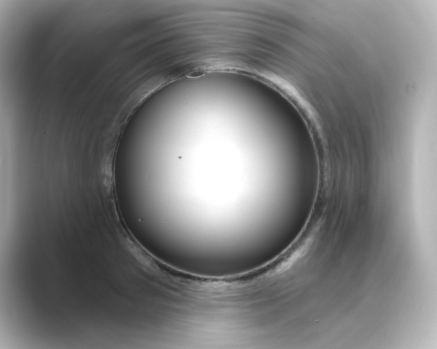 X0000088670897200706211849