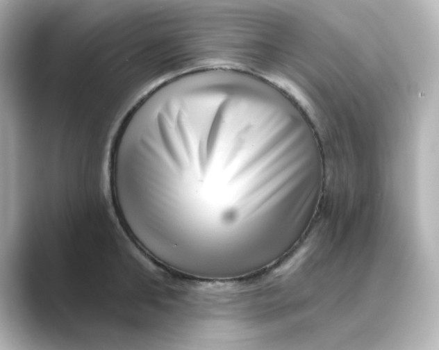X0000088670902200706211849
