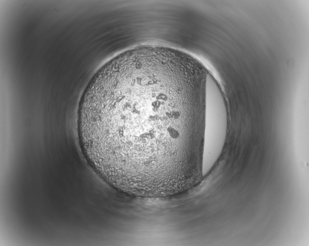 X0000088670903200706211849
